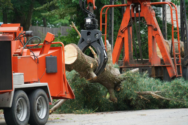 Best Lawn Mowing  in Loch Sheldrake, NY